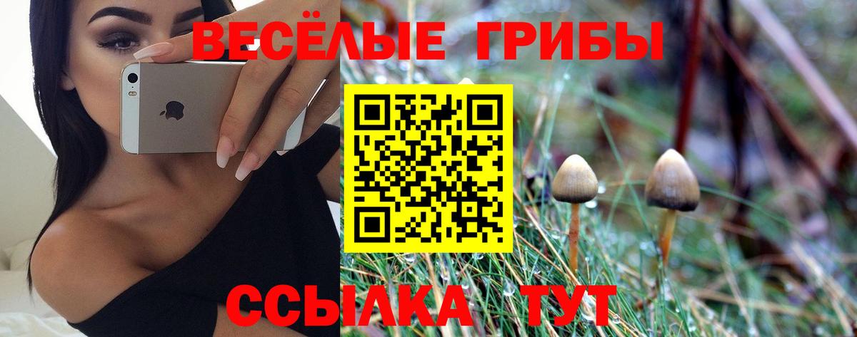 Псилоцибиновые грибы прущие грибы Лесозаводск